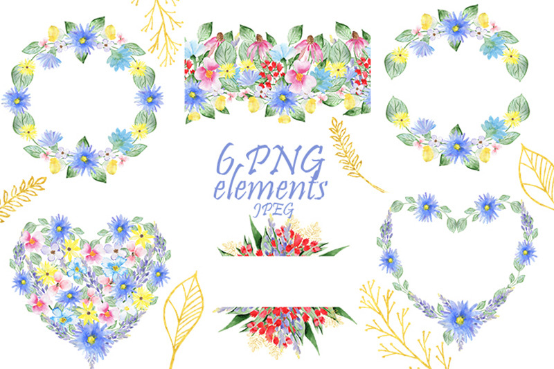flowers-set-composition-with-flowers-patterns-png-jpeg