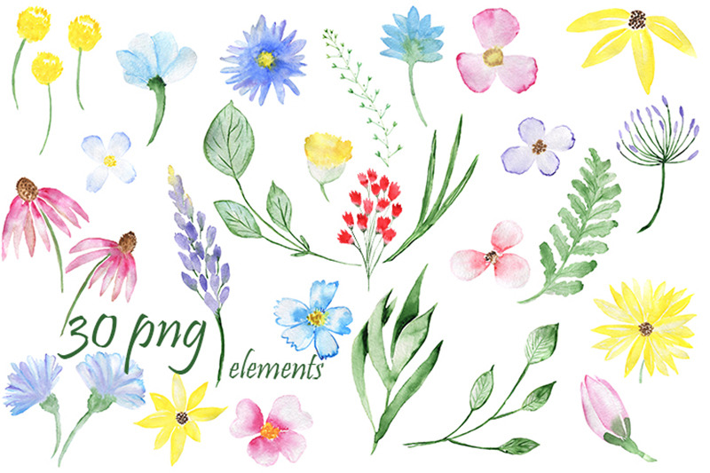 flowers-set-composition-with-flowers-patterns-png-jpeg