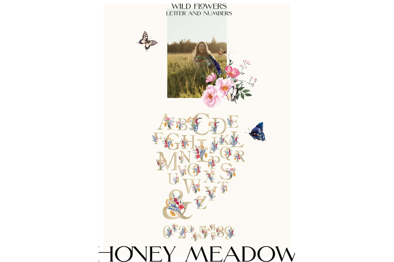 honey-meadow-wild-flower-graphic