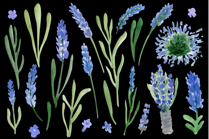 lavender-flowers-floral-clipart-flower-stem-clip-art