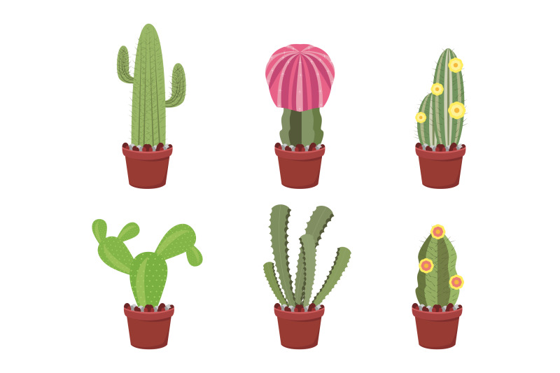 cute-cactus-in-pot-collection