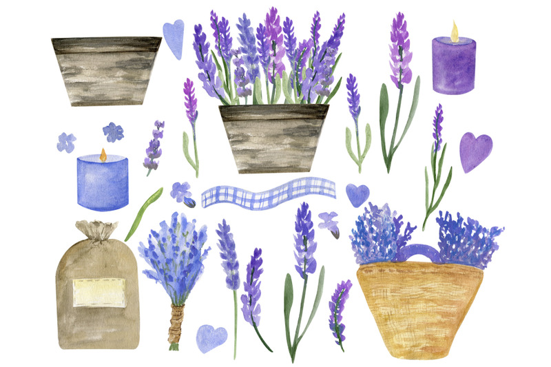 dried-lavender-watercolor-lavender-plant-clipart