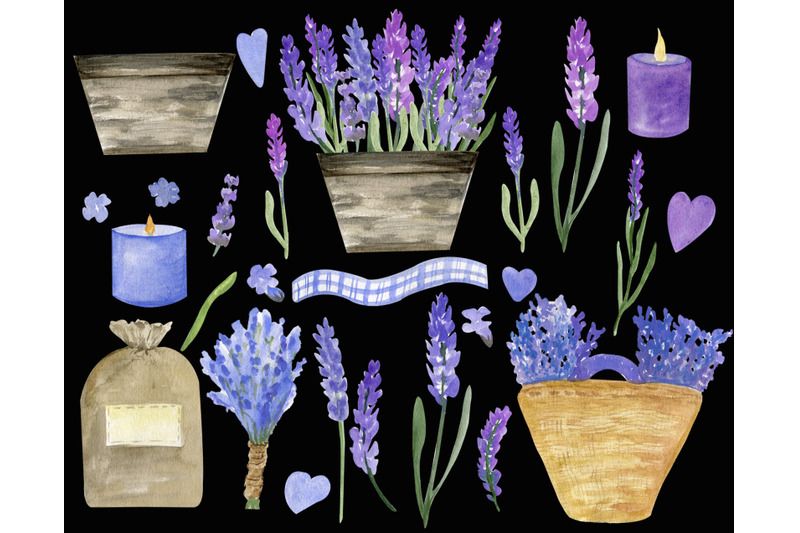 dried-lavender-watercolor-lavender-plant-clipart