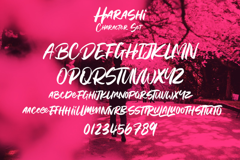 harashi-handwritten-brush-font