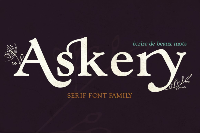 the-modern-serif-font-bundle