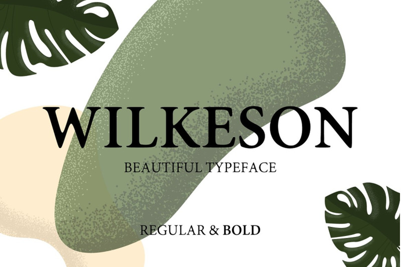 wilkeson-modern-serif-typeface