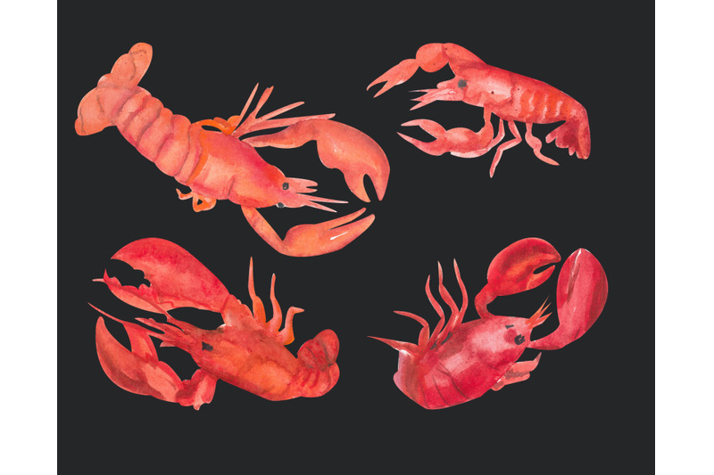 lobster-food-clip-art-under-the-sea-watercolor-clip-art