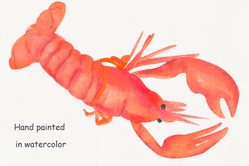 lobster-food-clip-art-under-the-sea-watercolor-clip-art