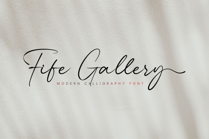 fife-gallery