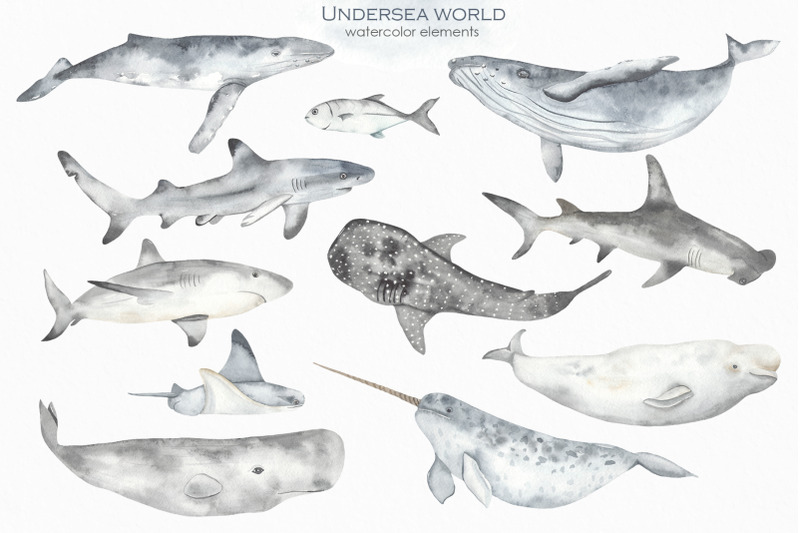 undersea-world-watercolor