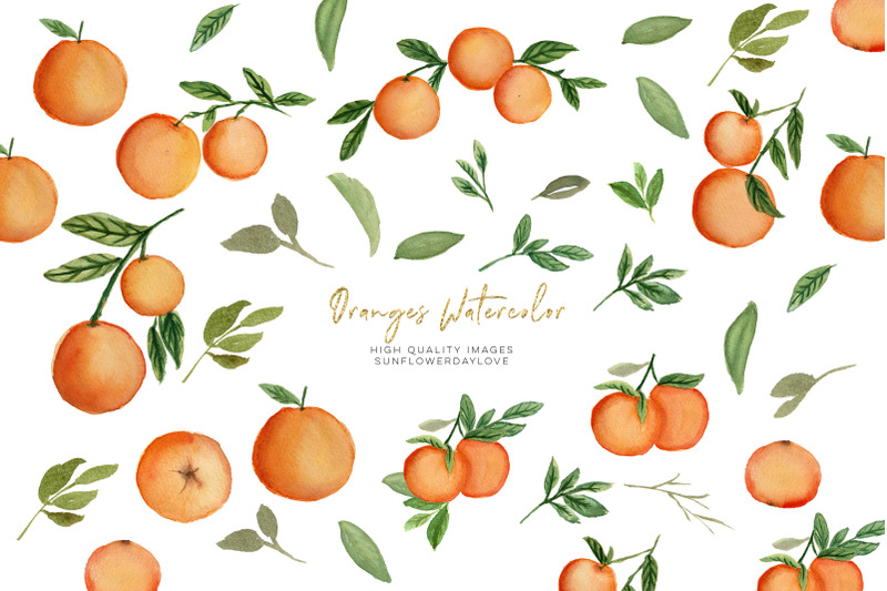 cutie-orange-citrus-clipart-orange-summer-elements-clipart