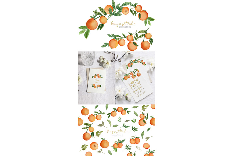 cutie-orange-citrus-clipart-orange-summer-elements-clipart