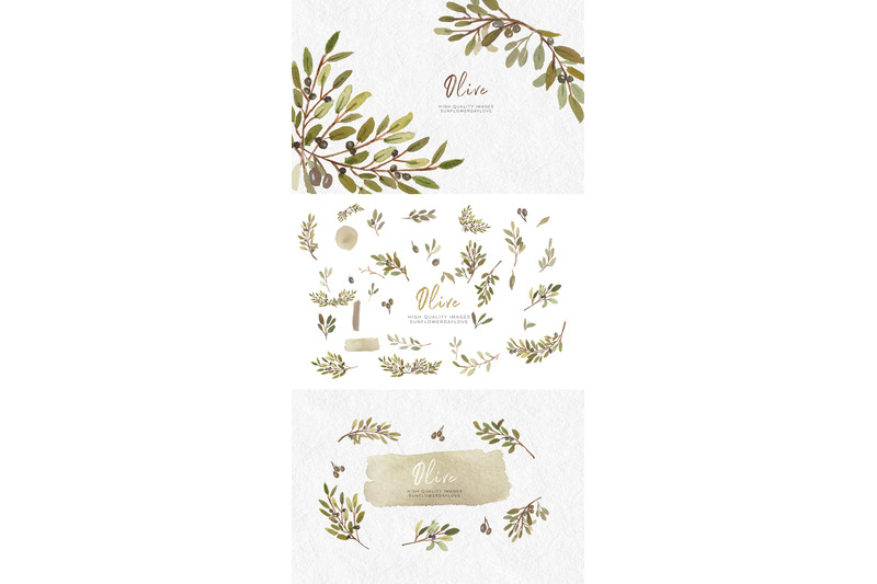 olive-branch-watercolor-clip-art-olive-botanical-leaves-illustrations