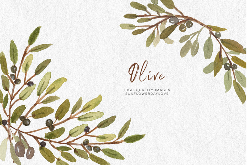 olive-branch-watercolor-clip-art-olive-botanical-leaves-illustrations
