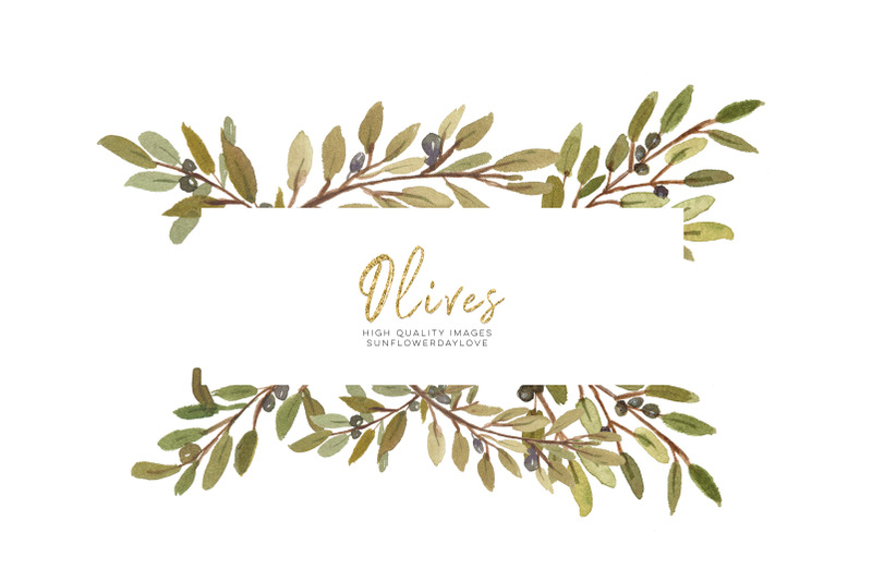 olive-botanical-leaves-illustrations-bohemian-boho-hand-painted