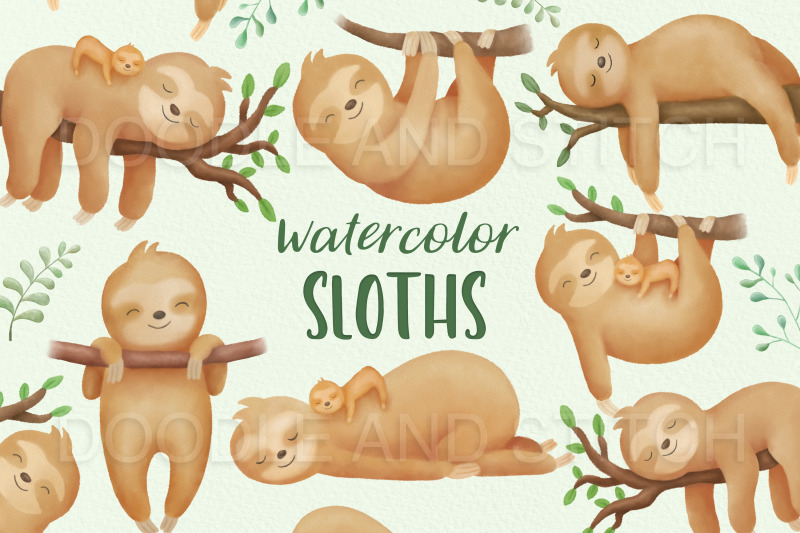 watercolor-sloth-clipart-illustrations