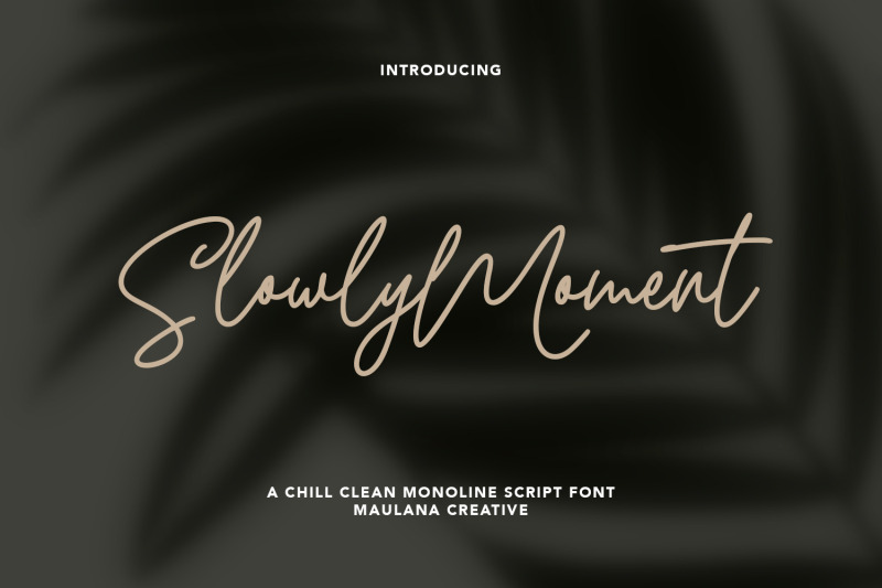 slowly-moment-clean-monoline-script-font