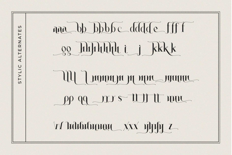 absolute-modern-serif