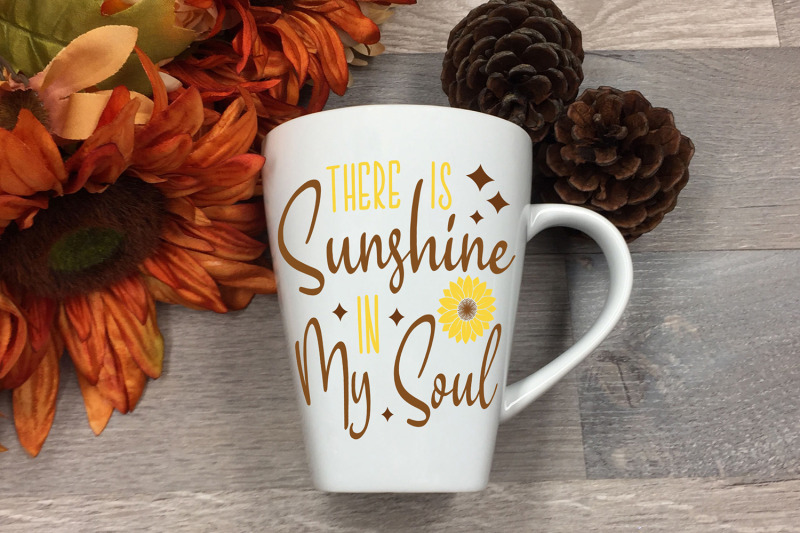 there-is-sunshine-in-my-soul-sunflower-svg-flowers-svg
