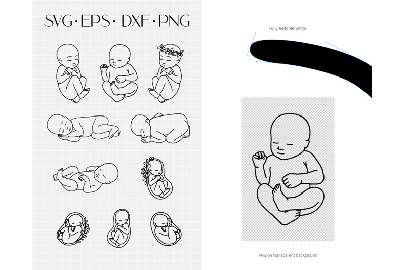 newborn-baby-svg-clipart-embryo-fetus-new-baby-line-vector-art