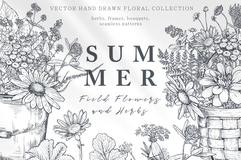 summer-field-flowers-vector-set