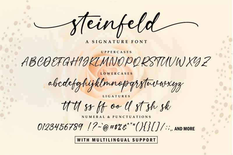 steinfeld-a-handwritten-script-font