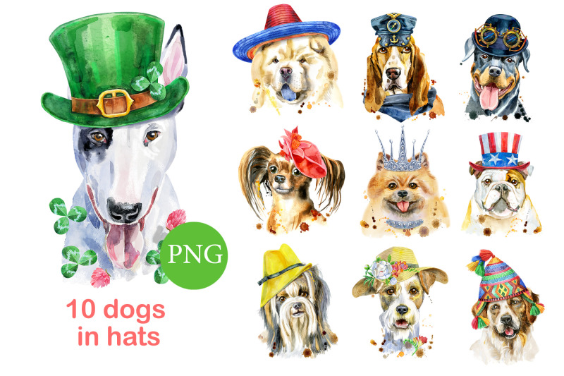 watercolor-dogs-in-hats