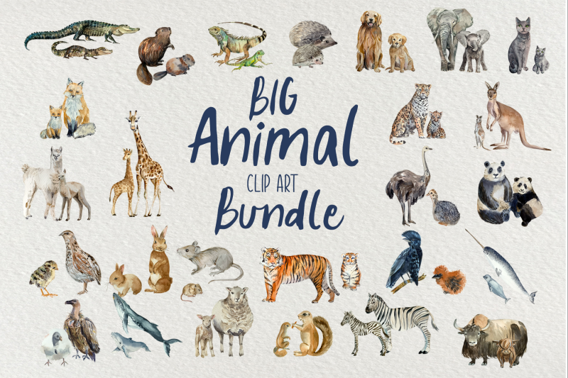 big-animal-clip-art-bundle