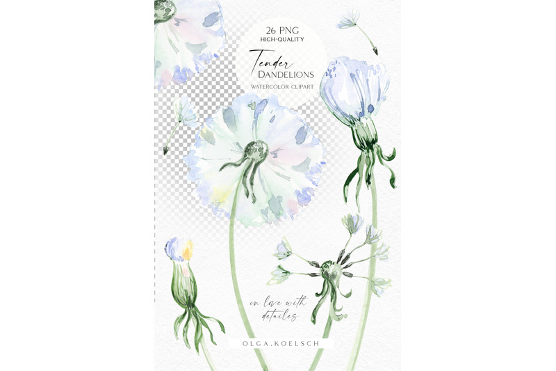 watercolor-floral-clipart-dandelions-png-meadow-flowers-clipart