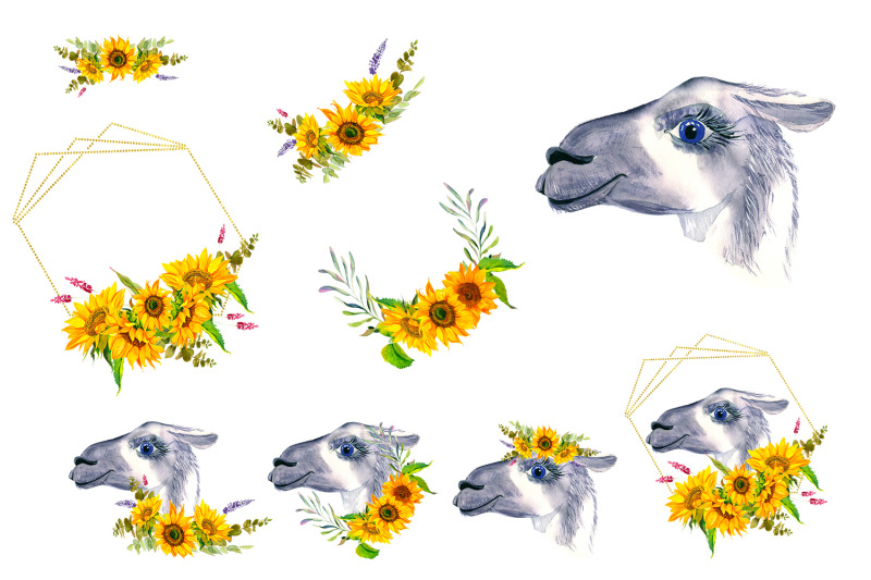 watercolor-llama-clipart-llama-face-clip-art