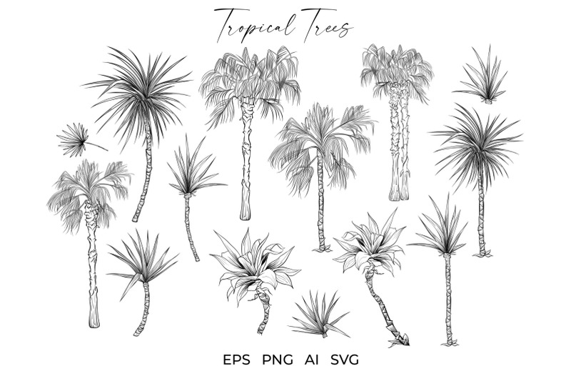 palm-trees-tropical-plants-vector-sketches