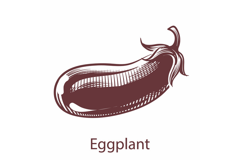 eggplant-hand-drawn-icon-botanical-vegetable-vector-illustration-in-e