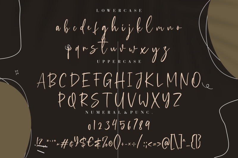bellagio-chic-script-typeface