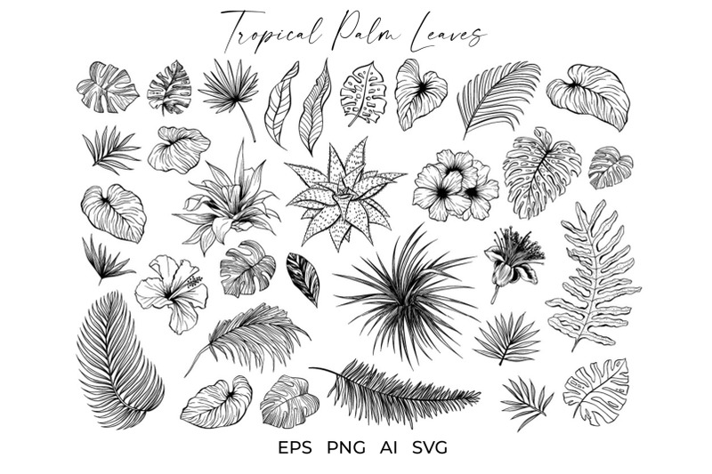 tropical-palm-leaves-and-flowers-vector-sketches