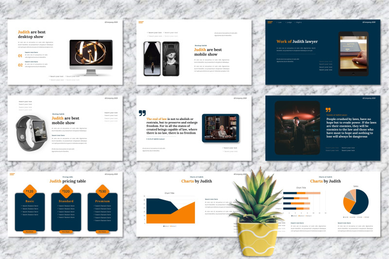 judith-lawyer-powerpoint-template