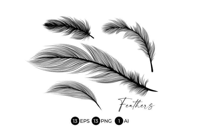 black-feathers-stencil-boho-line-art-design-elements