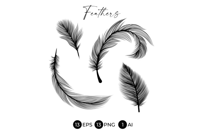 black-feathers-stencil-boho-line-art-design-elements
