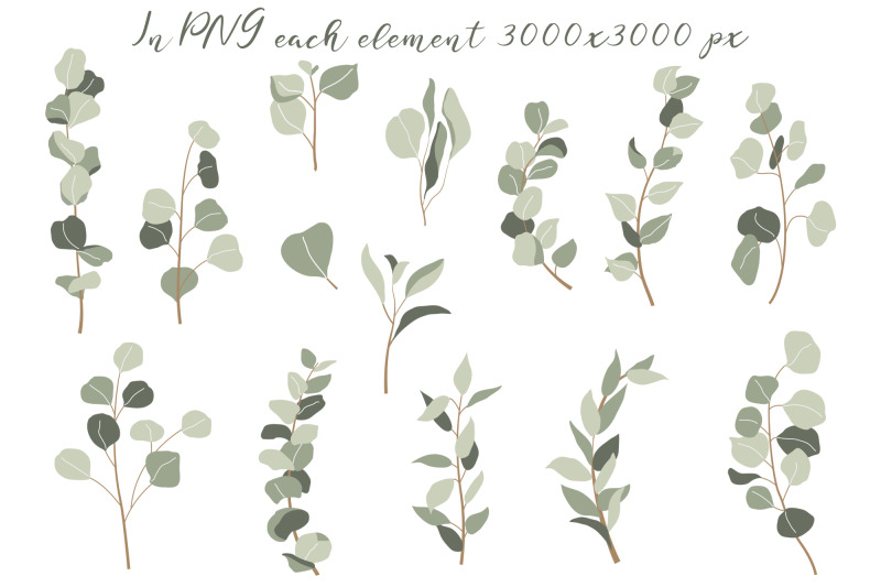 eucalyptus-clipart-eucalyptus-wreaths-wedding-greenery-clipart