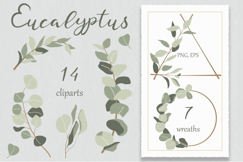 eucalyptus-clipart-eucalyptus-wreaths-wedding-greenery-clipart