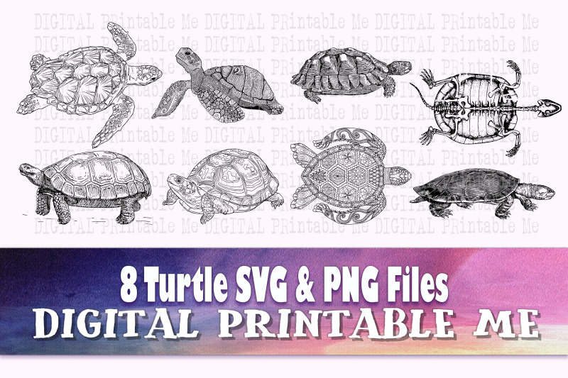 turtle-illustration-svg-bundle-clip-art-pack-png-8-images-pack-torto