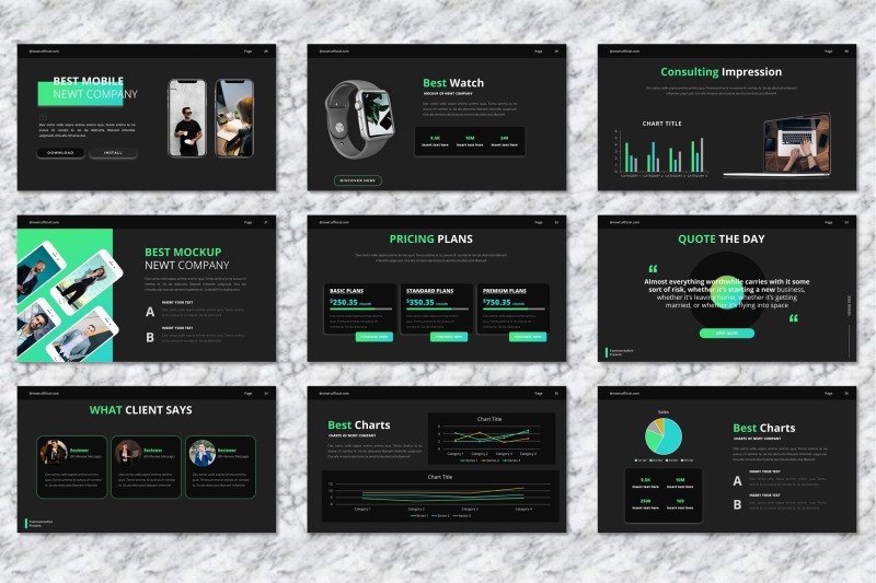 newt-company-profile-powerpoint-templates