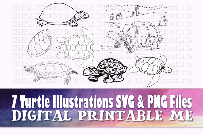 turtle-illustration-svg-bundle-clip-art-pack-png-7-images-pack-torto