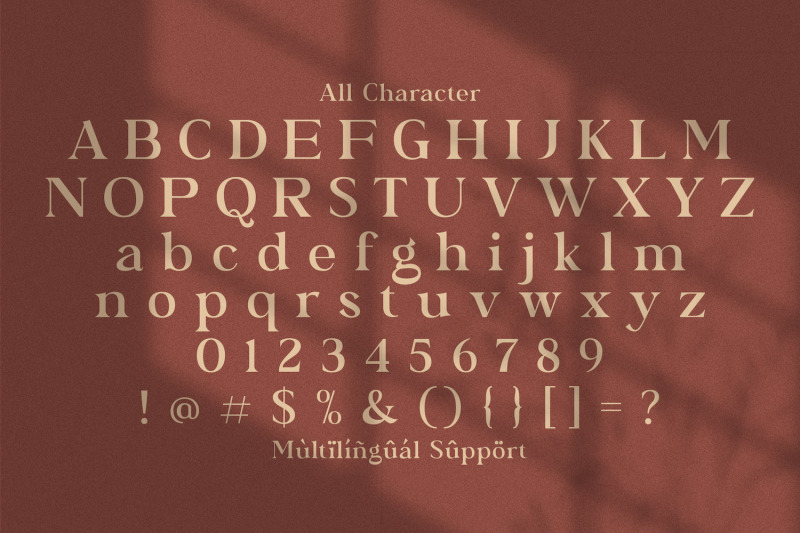 bagator-classic-serif-font