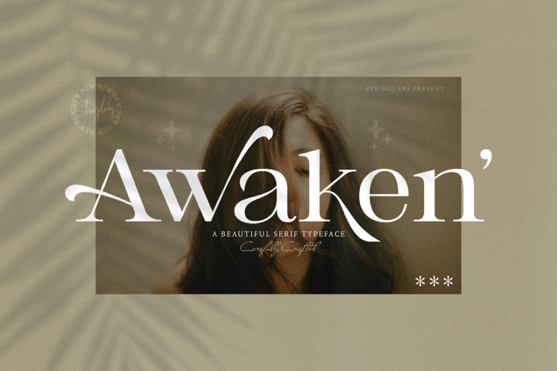 awaken-casual-serif-font