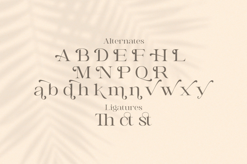 awaken-casual-serif-font