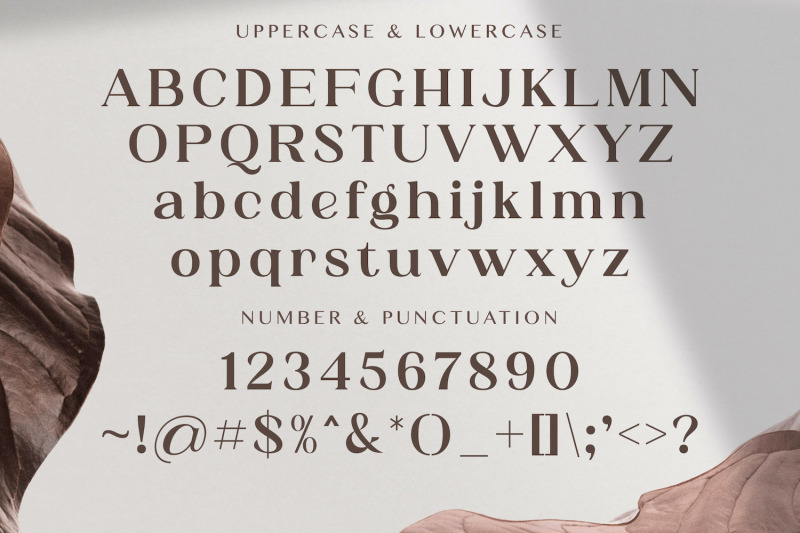 adibafih-casual-serif-font