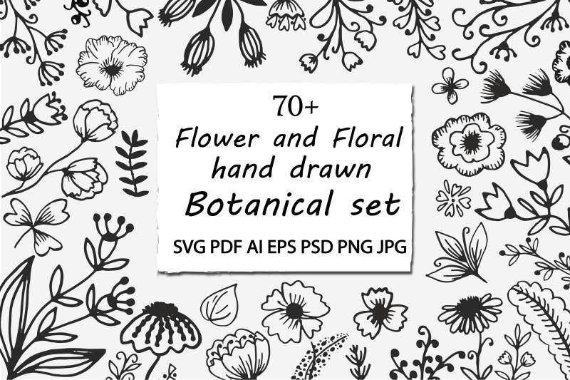 flower-flower-border-field-cut-file-flowers-and-botanical-set
