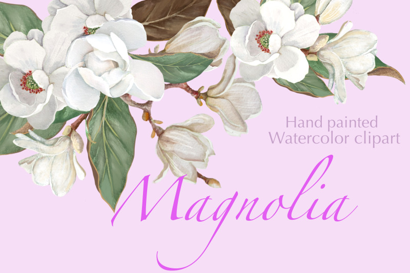 magnolia-flower-watercolor-floral-clip-art