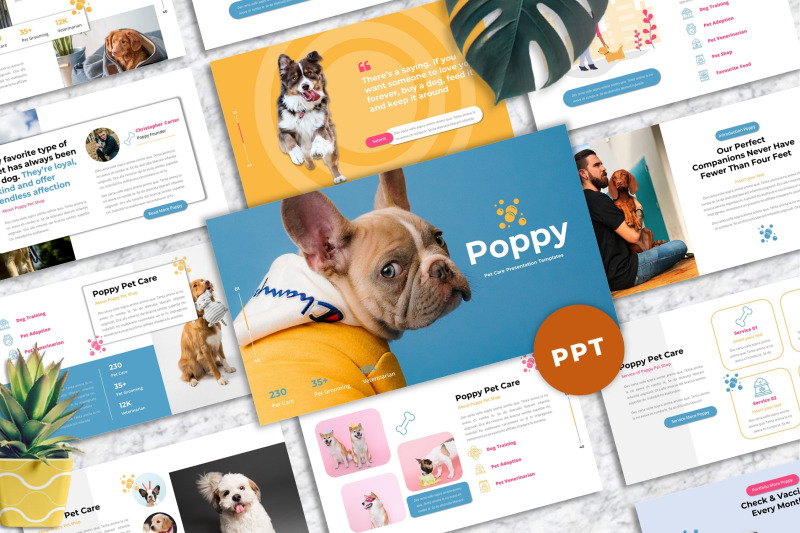 poppy-pet-care-powerpoint-templates