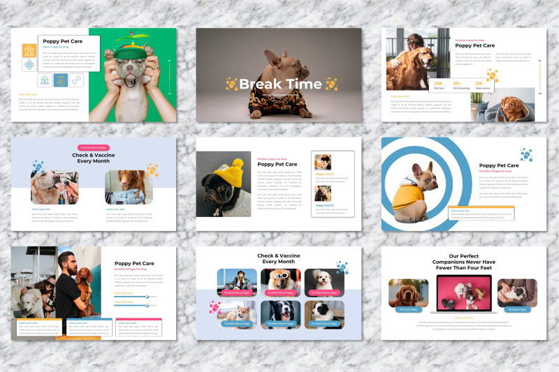 poppy-pet-care-powerpoint-templates